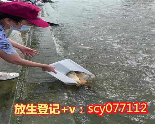 阿依斯德之光放生官方网站惠州,惠州哪里适合放生蛙【惠州放生的鱼从哪里买