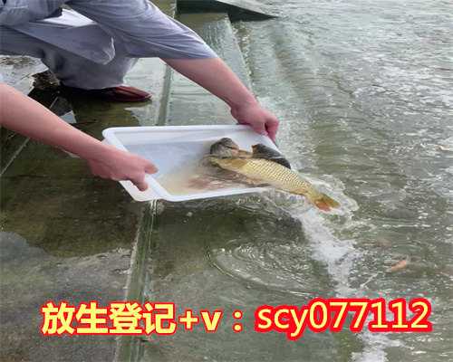 徐州怎么放生鲤鱼,徐州公园可以放生小红鱼吗,徐州市放生护生协会