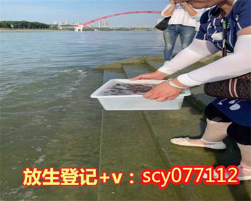 杭州放生鱼一般在什么地方放，杭州灵隐寺己亥腊月十五放生法会圆满