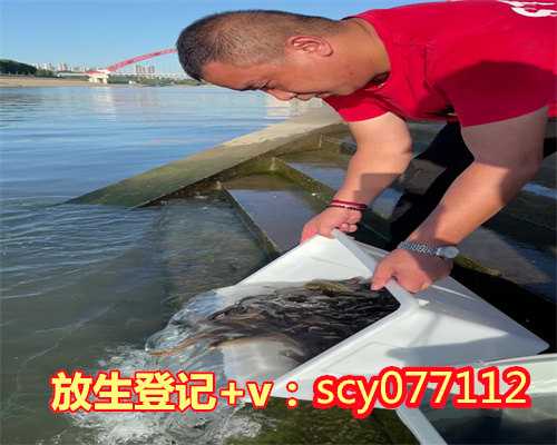 沧州放生的含义,沧州小鱼放生一年可以放几次,沧州七月十五放生的好处