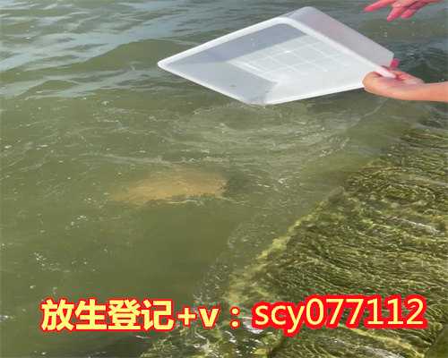 重庆哪里放生红鲤鱼