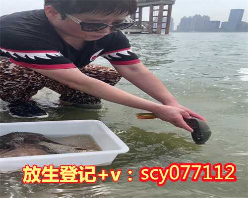 黑龙江放生偈语,黑龙江哪个公园能放生草龟啊,黑龙江放生红色鲤鱼的功德