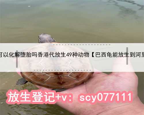 放生可以化解堕胎吗香港代放生49种动物【巴西龟能放生到河里吗】