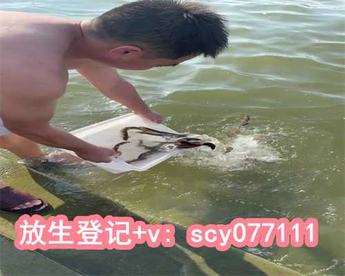 为何放生池上海宠物小乌龟可以放生吗【上海放生地点少有人】